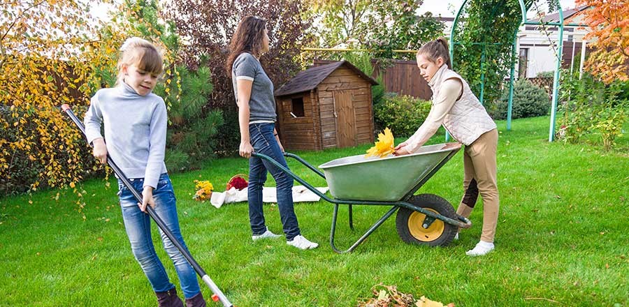 Gartenpflege und Gartenarbeiten
